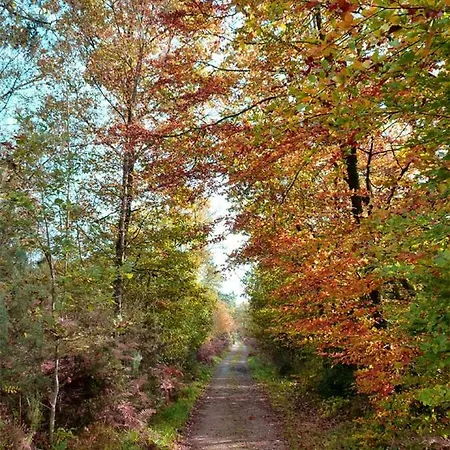 Le Tertre Gites Céaucé
