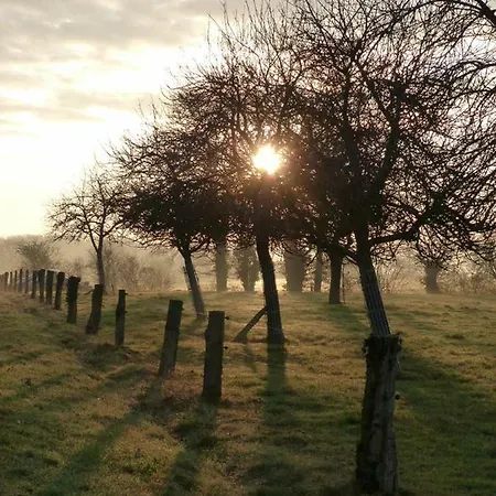 Le Tertre Gites Céaucé